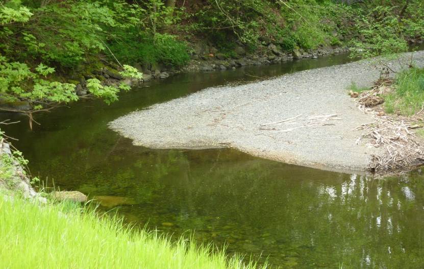 Figure 13.21 The meandering channel of the Bonnell Creek, Nanoose, B.C. The stream is flowing toward the viewer. The sand and gravel point bar must have formed when the creek was higher and the flow faster than it was when the photo was taken. [SE]