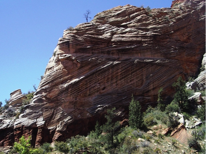 zion national park fossils