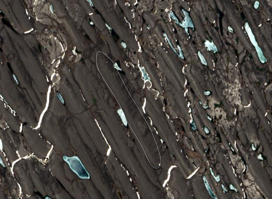 Figure 16.19 Drumlins — streamlined hills formed beneath a glacier, here made up of sediment — in the Amundsun Gulf region of Nunavut. The drumlins are tens of metres high, a few hundred metres across and a few kilometres long. One of them is highlighted with a dashed white line. [http://earthobservatory.nasa.gov/IOTD/view.php?id=85506]