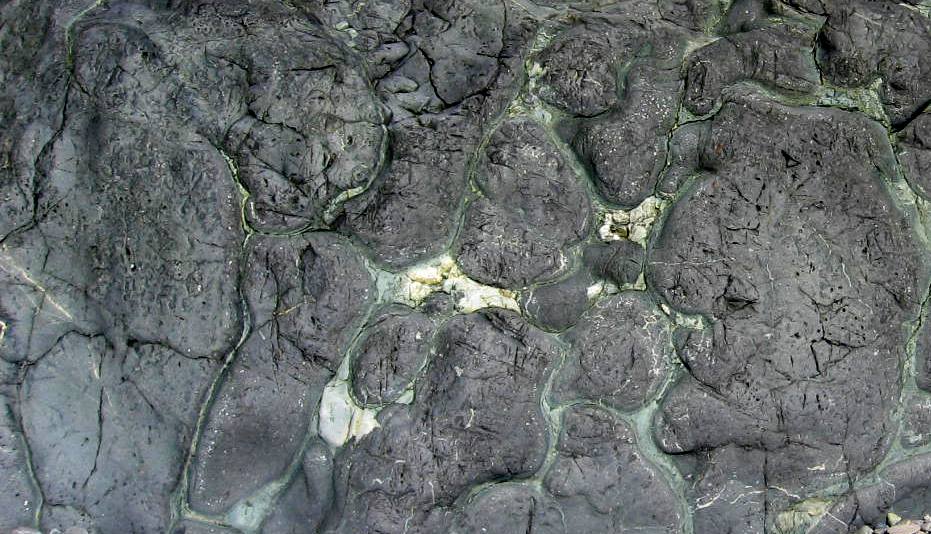 Figure 18.1 Oceanic crust (pillow basalt) from the Paleogene Metchosin Igneous Complex, near Sooke, on Vancouver Island. The view is about 1.5 m across. [SE]
