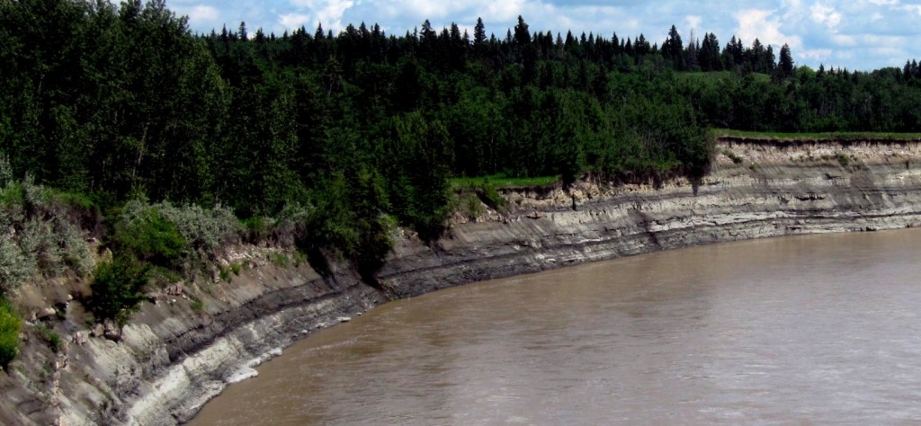 Figure 21.31 The Paskapoo Formation exposed on the banks of the Red Deer River, Alberta [https://commons.wikimedia.org/wiki/File:Paskapoo_Mudstones_Red_Deer.jpg]