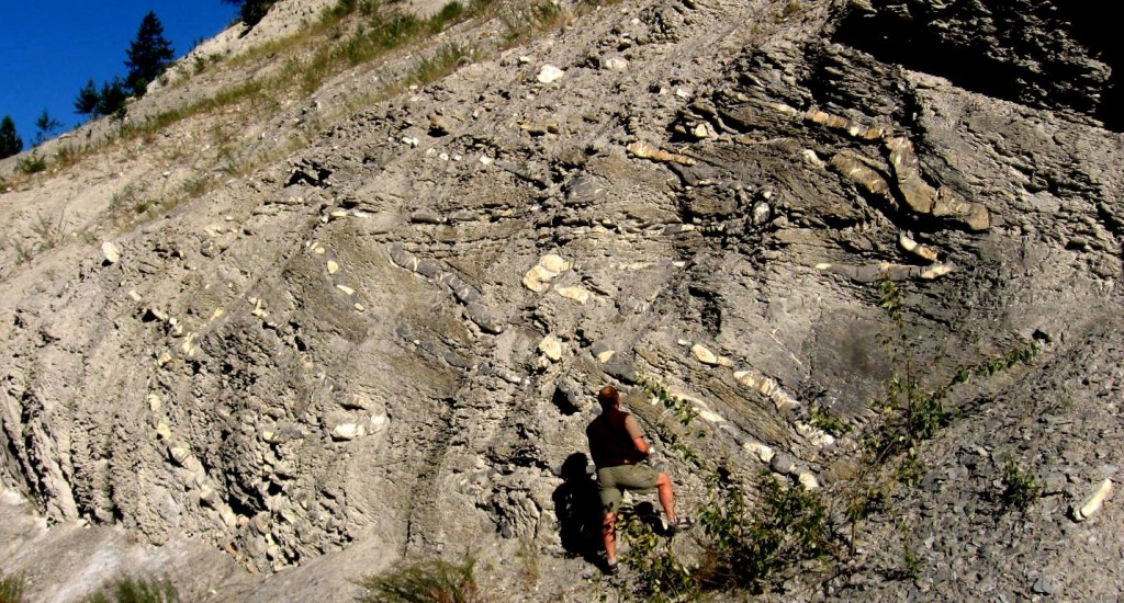Figure 21.16 Tight folds in sedimentary rocks of the Rocky Mountains near Field, B.C. [SE]