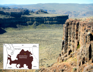 Figure 4.20 A part of the Columbia River Basalt Group at Frenchman Coulee, eastern Washington. All of the flows visible here have formed large (up to two metres in diameter) columnar basalts, a result of relatively slow cooling of flows that are tens of m thick. The inset map shows the approximate extent of the 17 to 14 Ma Columbia River Basalts, with the location of the photo shown as a star. [SE – photo and drawing]