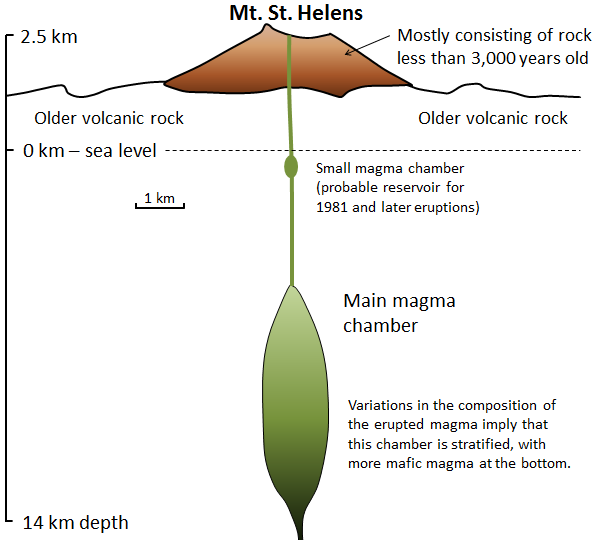 Mt. St. Helens besteht größtenteils aus weniger als 3.000 Jahre altem Gestein, unter dem Berg befindet sich älteres vulkanisches Gestein, unter dem Meeresspiegel eine kleine Magmakammer (wahrscheinlich das Reservoir für die Eruptionen von 1981 und später), in bis zu 14 km Tiefe befindet sich die Hauptmagmakammer, Variationen in der Zusammensetzung des eruptierten Magmas deuten darauf hin, dass diese Kammer geschichtet ist, mit mehr Magma am Boden.