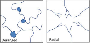 Figure 13.8 À gauche : un schéma dérangé typique ; à droite : un schéma de drainage radial typique développé autour d'une montagne ou d'une colline.