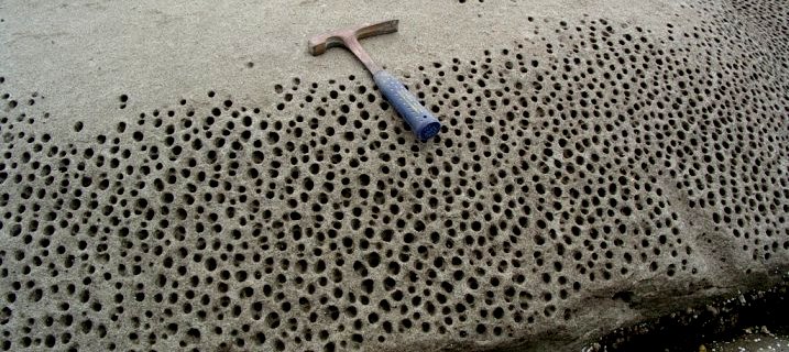 Photograph of Honeycomb weathering of sandstone on Gabriola Island, BC. The holes are caused by crystallization of salt within rock pores, and the seemingly regular pattern is related to the original roughness of the surface. It's a positive-feedback process because the holes collect salt water at high tide, and so the effect is accentuated around existing holes. This type of weathering is most pronounced on south-facing sunny exposures.