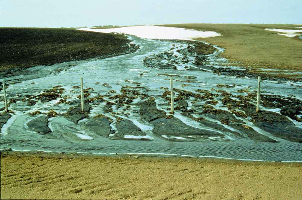 Soil erosion by rain and channelled runoff on a field in Alberta.
