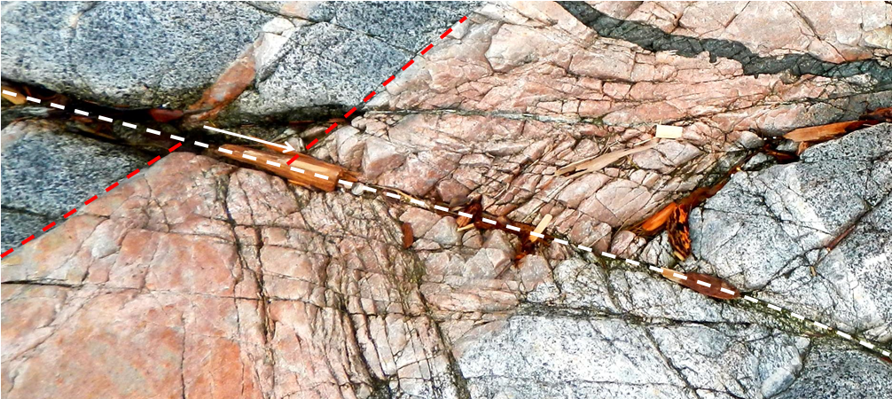 Figure 12.12  A fault (white dashed line) in intrusive rocks on Quadra Island, BC.  The pink dike has been offset by the fault and the extent of the offset is shown by the white arrow (approx. 10 cm).  Because the far side of the fault has move to the right, this is a right-lateral fault.  If the photo was taken from the other side of the fault, it would still appear to have a right-lateral offset.   [SE]
