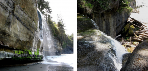 Abbildung 13.11 Zwei Bäche mit abgesenktem Grundwasserspiegel am Juan de Fuca Trail, südwestlich von Vancouver Island.