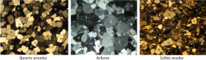 Figure 6.7 Photos of thin sections of three types of sandstone. Some of the minerals are labelled: Q=quartz, F=feldspar and L= lithic (rock fragments). The quartz arenite and arkose have relatively little silt-clay matrix, while the lithic wacke has abundant matrix.