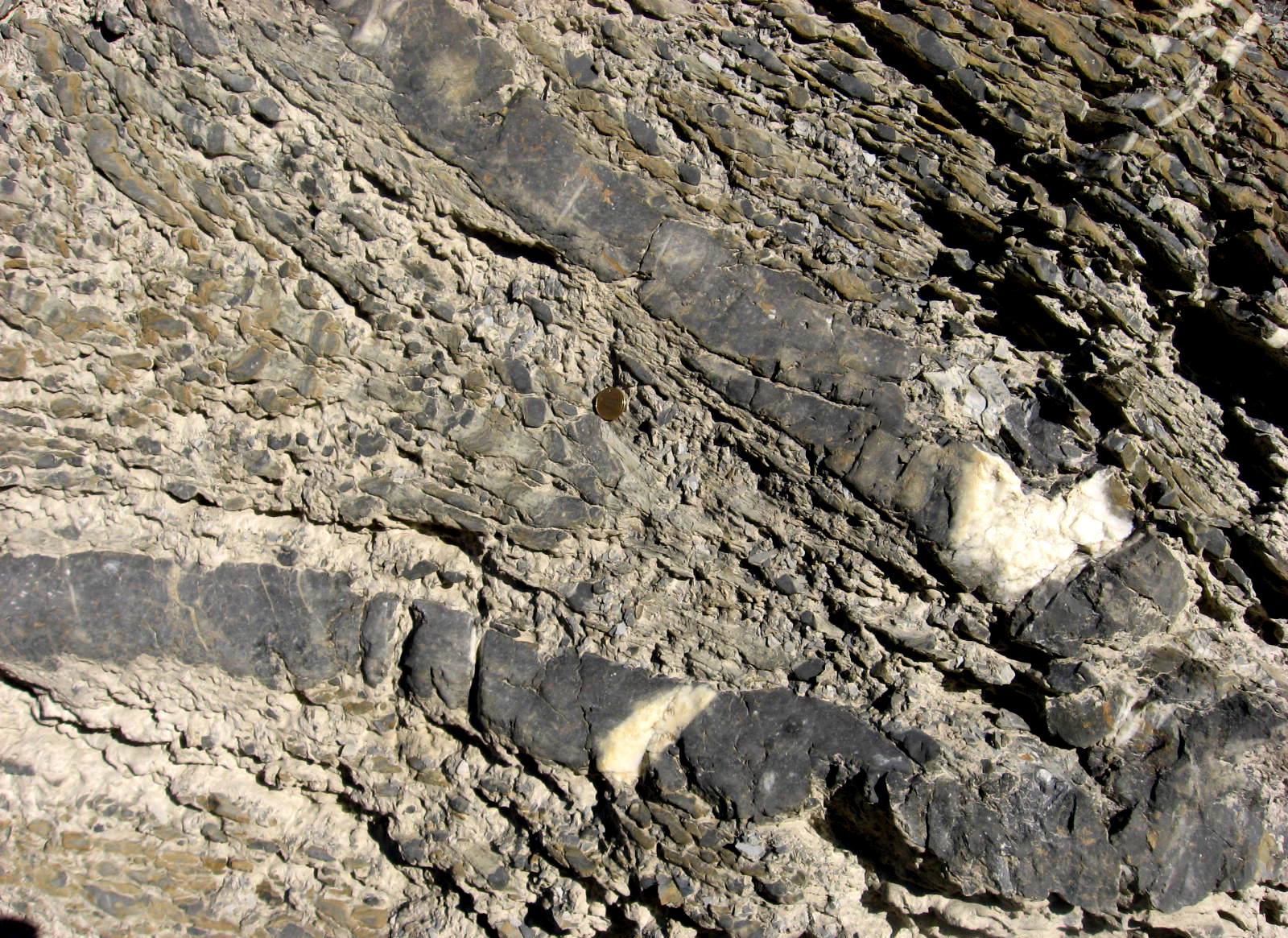 Figure 12.1 Folds in sedimentary rocks near to Golden and the Kickinghorse River, BC. [SE]