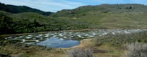 Figure 6.15 Spotted Lake, near Osoyoos, B.C. This photo was taken in May when the water was relatively fresh because of winter rains. By the end of the summer the surface of this lake is typically fully encrusted with salt deposits.