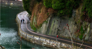 Figure 17.28 The seawall at Stanley Park, Vancouver [https://commons.wikimedia.org/wiki/File:Seawall2.jpg]