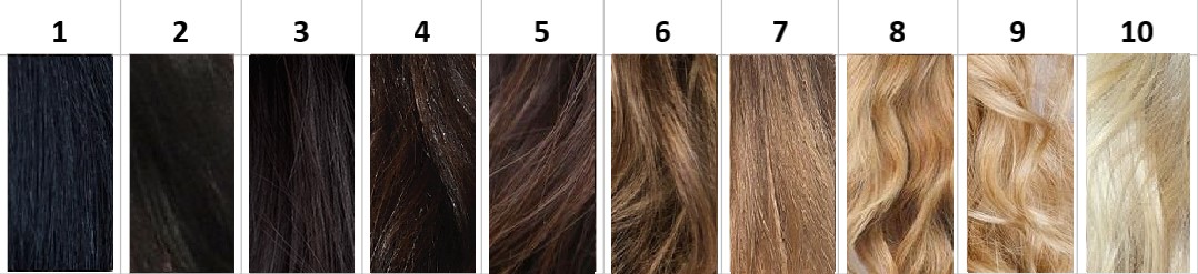 The 10 levels of hair colour, from black to light blonde.