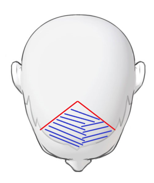 A widow's peak is a V-shaped growth of hair toward the centre of the forehead.