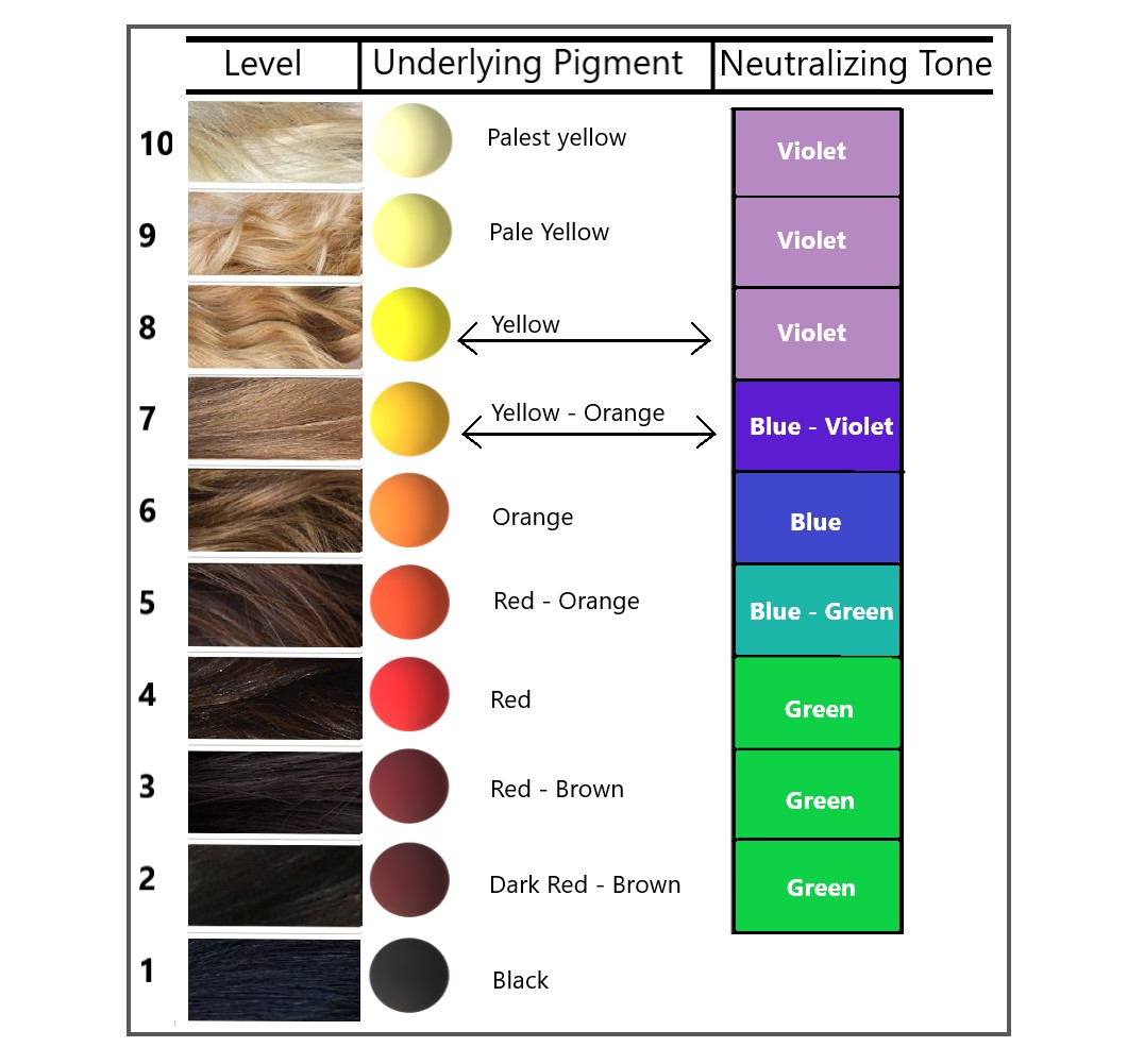The 10 levels of underlying pigment and correlating neutral tone.