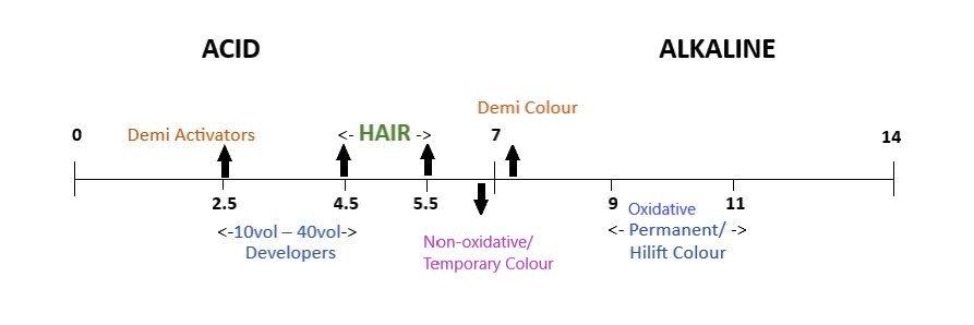 A pH scale showing where different colouring products sit on the pH scale in relation to hair.