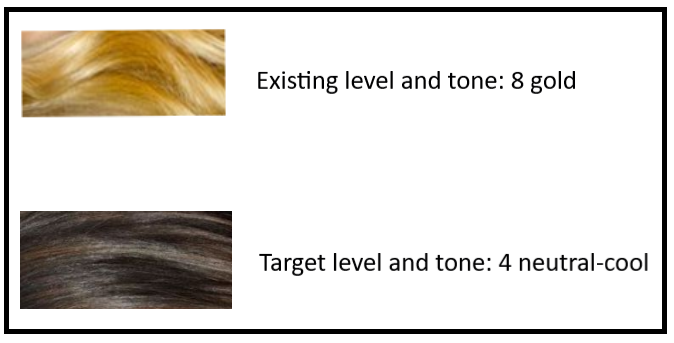 Existing level and tone is 8 gold. Target level and tone is 4 neutral-cool.