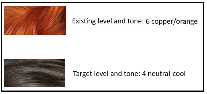 Existing level and tone is 7 copper-orange. Target level and tone is 4 neutral-cool.