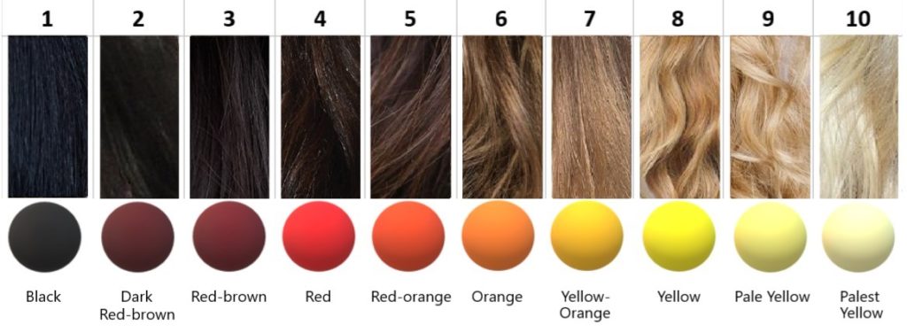 The underlying pigments fo the 10 levels of hair.