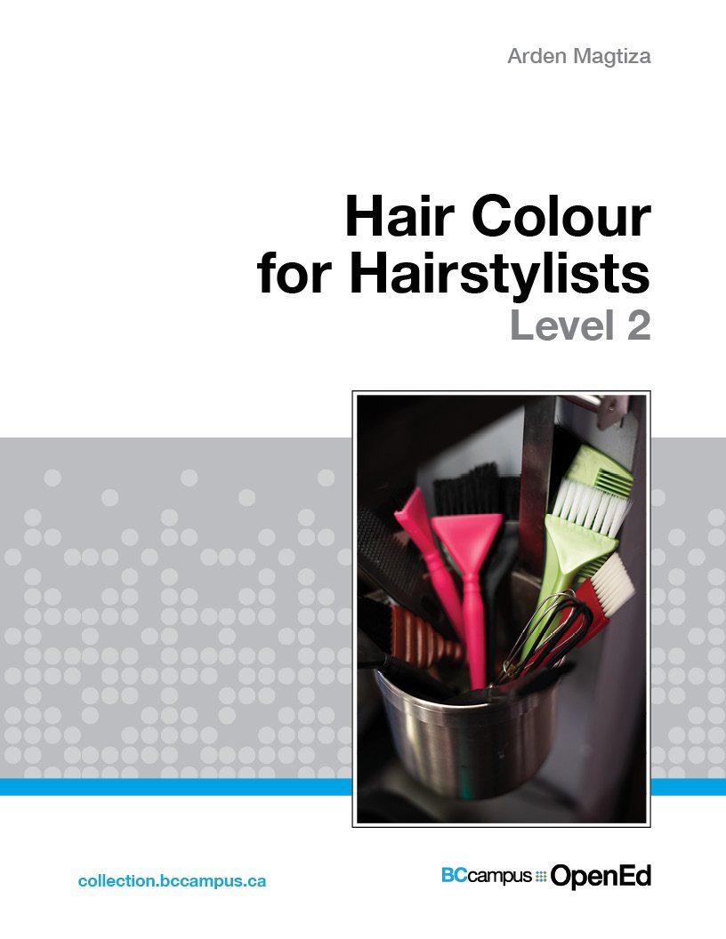 Cover image for Hair Colour for Hairstylists: Level 2