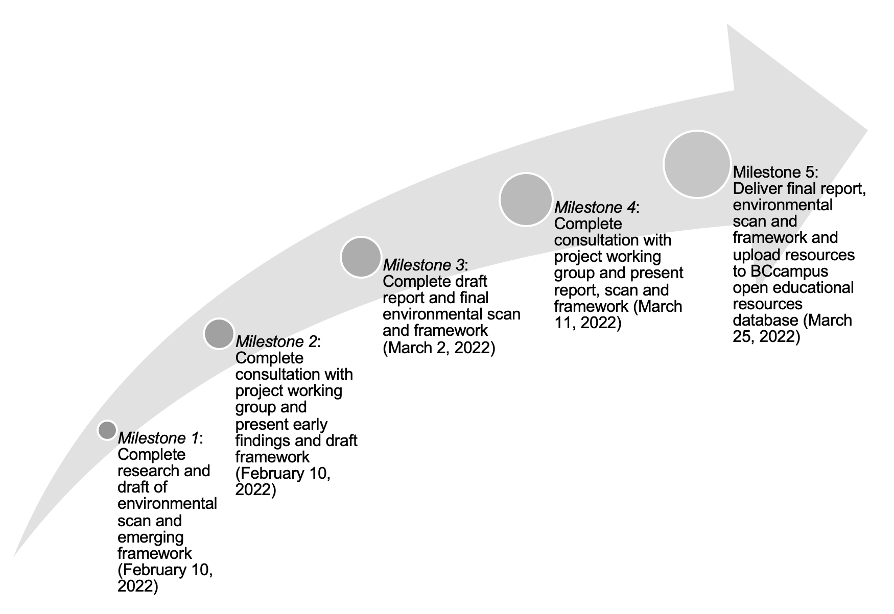 Expected milestones of environmental scan project. Image description available.