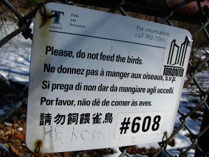 A sign that says, "Please, do not feed the birds," in five different languages.
