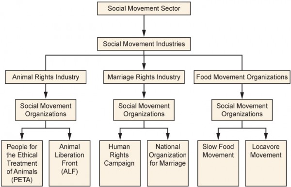 The Social Movement Sector includes many industries and organizations. Long description available.