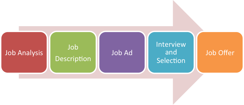 Job Analysis, Job Description, Job Ad, Interview and Selection, Job Offer.
