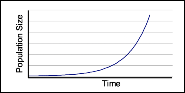 Population size increases exponentially, with the curve angling upward over time.