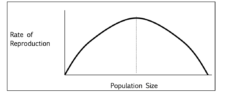 Human Security and Resource Scarcity – Human Security in World Affairs ...
