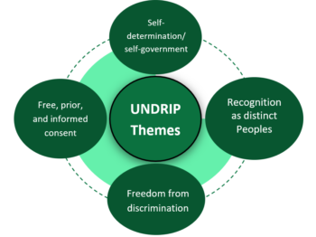 UNDRIP principles applied to Turtle Island UNDRIP principles applied to Turtle Island