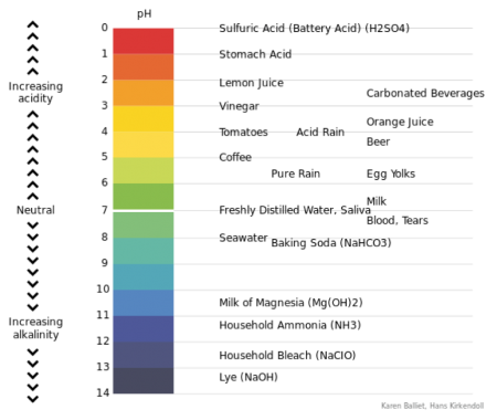 Scale showing the pH levels of common products. Long description available.
