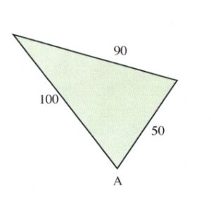 Triangle with 100, 90 and 50 sides.