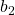 {b}_{2}