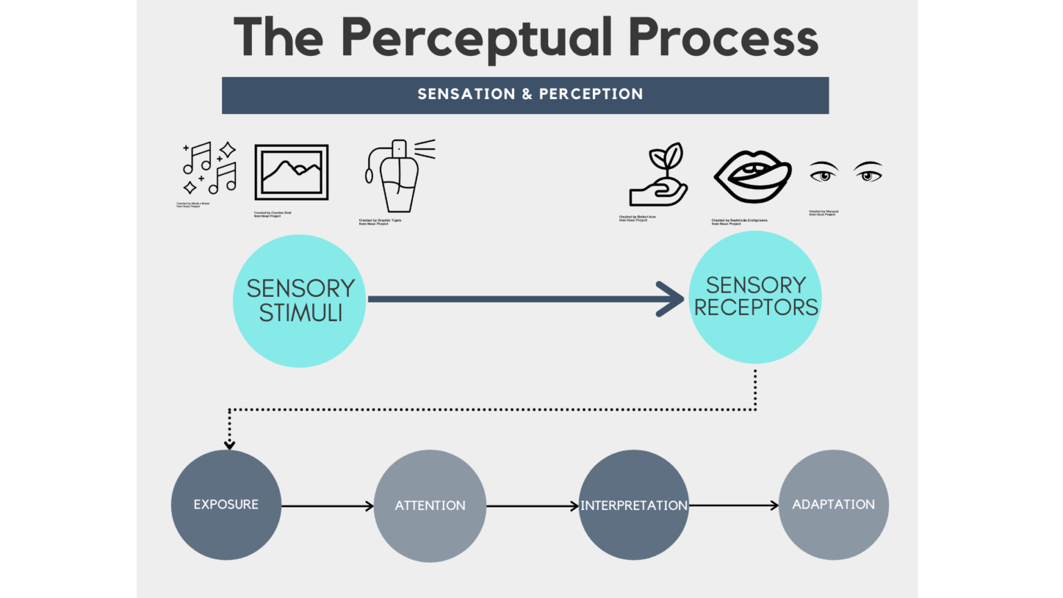 visual perception definition psychology