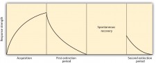 8.1 Learning by Association: Classical Conditioning – Introduction to ...