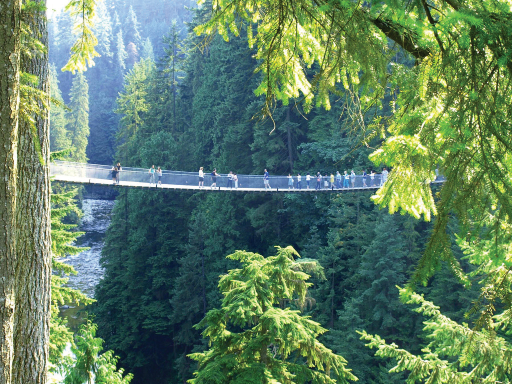 People on the Capilano Suspension Bridge