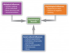 13.1 Psychological Disorder: What Makes a Behaviour Abnormal ...