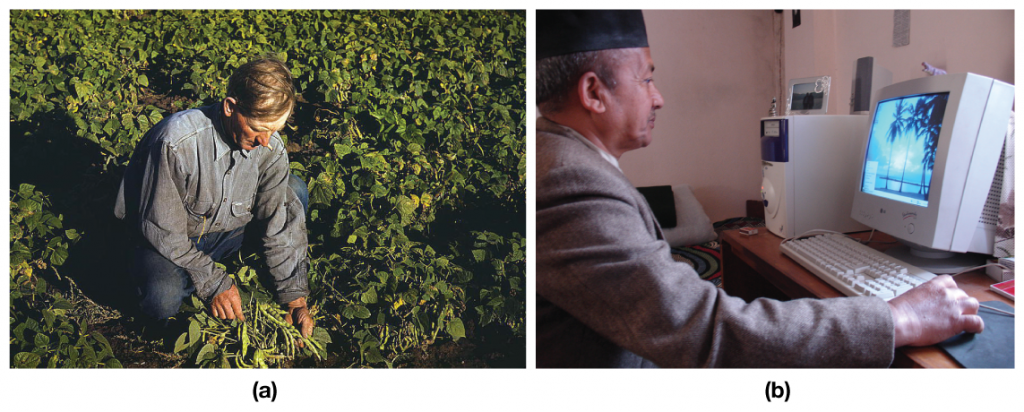 In figure (a) man in jeans and a denim shirt is shown kneeling and picking crops in a field; In figure (b), a man wearing a sports jacket and a hat is shown working on a computer.