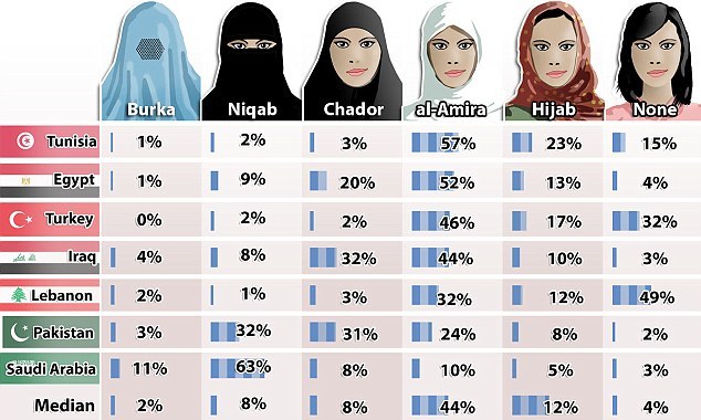 Burka, niqab, chador, al-Amira, hijab, none