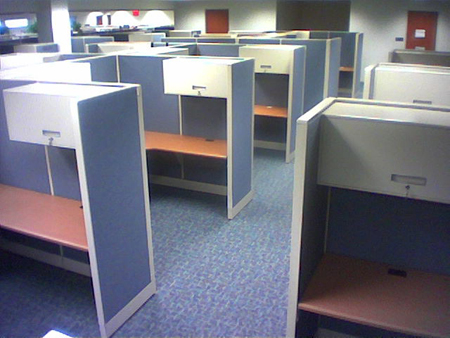 Rows of individual office cubicles.
