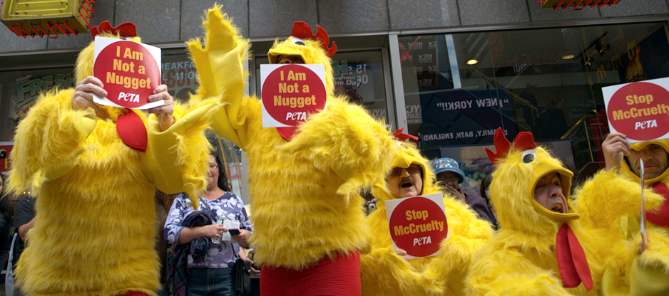 Protestors dressed up in chicken costumes with signs saying "I am not a nugget" and "Stop McCruelty"