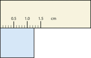 Rectangle is between 1.2 and 1.3 cm wide.