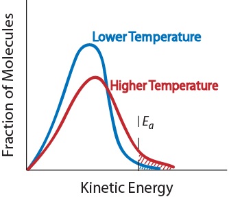 Figure 17.1-4. Effect of temperature on the kinetic energy distribution of molecules in a sample.