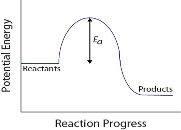 Solved System I: Effect of Temperature on Reaction Rate Time