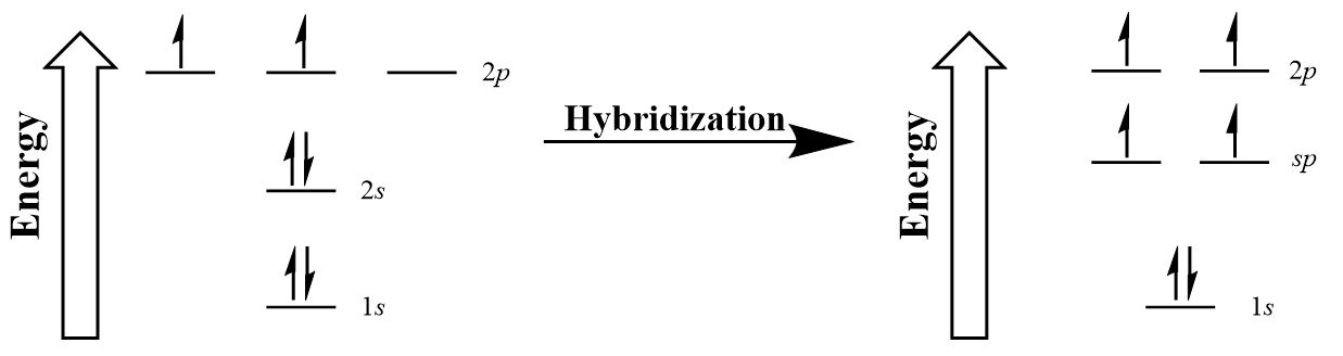 Hybridization of carbon to generate sp orbitals.