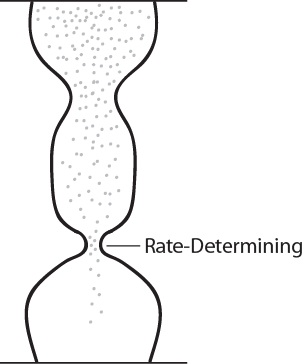 Double hourglass with one opening smaller than the other which determines rate.