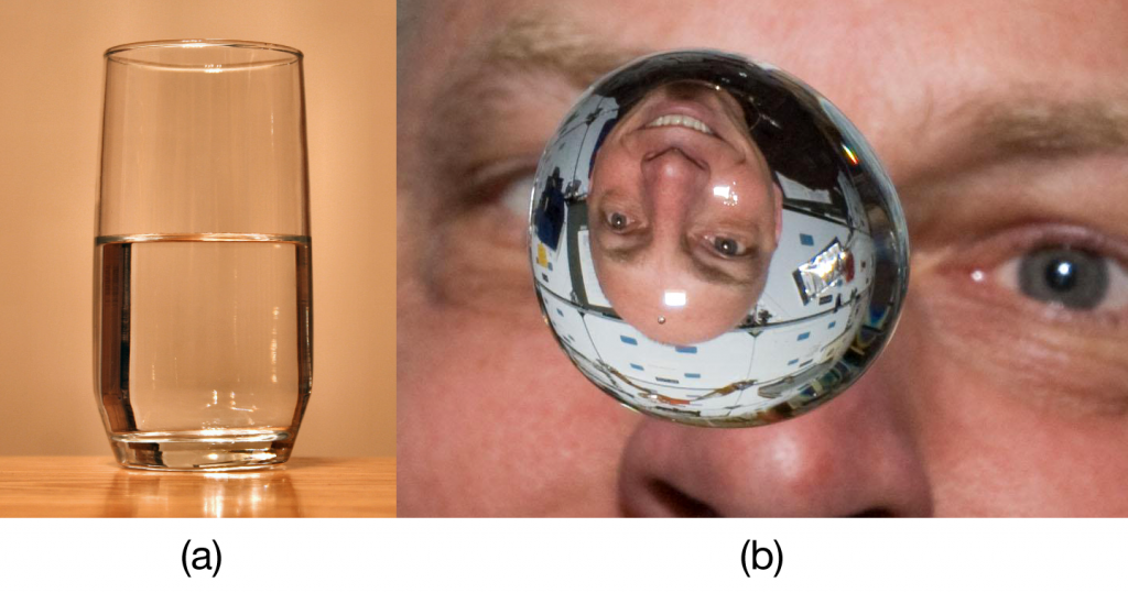 (a) A liquid fills the bottom of its container as it is drawn downward by gravity and the particles slide over each other. (b) A liquid floats in a zero- gravity environment. The particles still slide over each other because they are in the liquid phase, but now there is no gravity to pull them down. Source: “Glass of Water” by Derek Jensen is in the public domain; “Clayton Anderson zero g” s in the public domain because it was solely created by NASA.