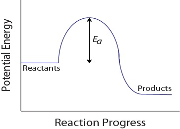Figure 17.1-4. Potential energy diagram for a hypothetical reaction.